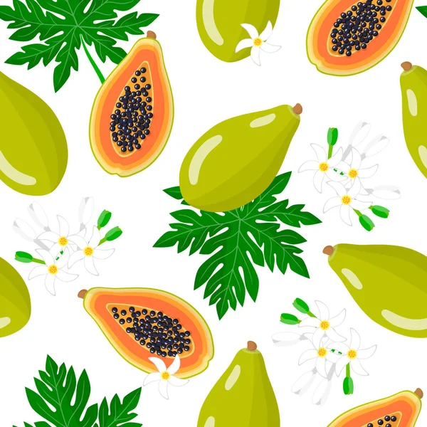 Caricature Vectorielle Motif Sans Couture Avec Carica Papaye Melon Arbre — Image vectorielle