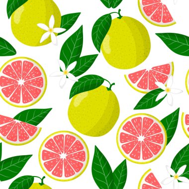 Beyaz arkaplanda beyaz arka plan, ağ, baskı, kumaş dokusu ya da duvar kağıdı için Citrus maxima ya da Pomelo egzotik meyveleri, çiçekler ve yaprakları olan vektör karikatür deseni