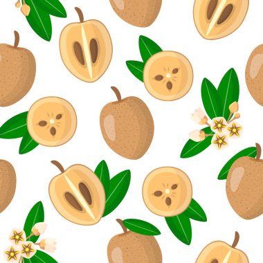 Beyaz arka planda Manilkara zapota ya da Sapodilla egzotik meyveleri, çiçekleri ve yaprakları ile ağ, baskı, kumaş dokusu ya da duvar kağıdı için vektörsüz desen