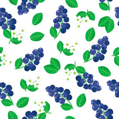 Beyaz arka planda Amelanchier ya da Shadberry egzotik meyveleri, çiçekleri ve yaprakları ile ağ, baskı, kumaş dokusu ya da duvar kağıdı için vektör karikatür deseni