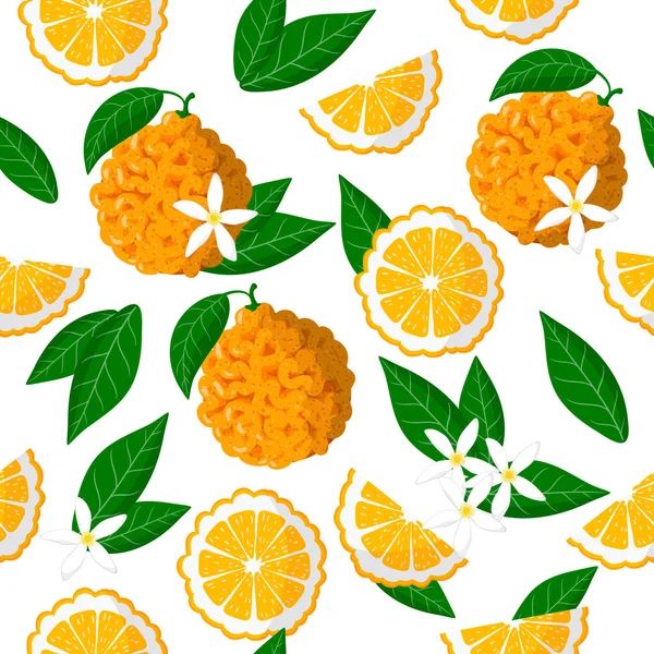 Patrón Sin Costura Dibujos Animados Vectoriales Con Citrus Aurantium Frutas — Vector de stock