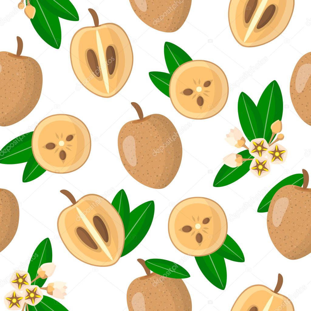 Vector cartoon seamless pattern with Manilkara zapota or Sapodilla exotic fruits, flowers and leafs on white background for web, print, cloth texture or wallpaper