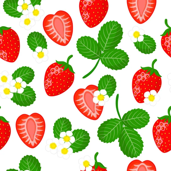 Patrón Sin Costura Dibujos Animados Vectoriales Con Fragaria Ananassa Jardín — Vector de stock