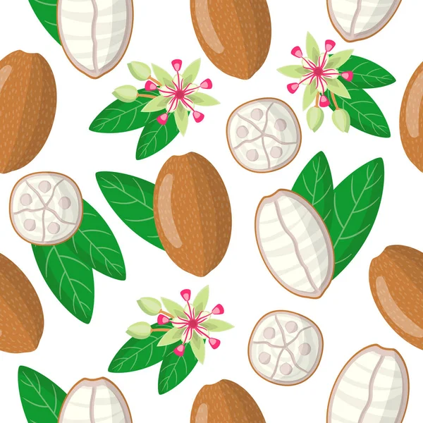 Beyaz zemin üzerinde Theobroma grandiflorum veya cupuacu egzotik meyve, çiçek ve yapraklar ile vektör karikatür deseni ağ, baskı, kumaş dokusu veya duvar kağıdı için beyaz arka plan