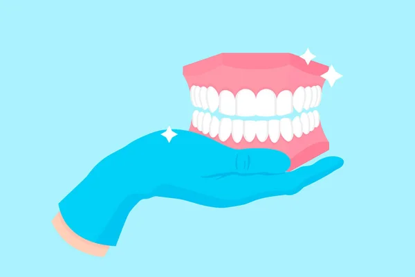 Vector cartoon hand of a dentist in a blue glove that hold a dental demo anatomical model of human jaw and teeth. — Stock Vector