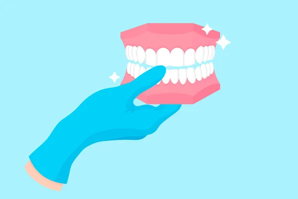 Mano de dibujos animados vectoriales de un dentista en un guante azul que sostiene un fantasma dental o modelo plástico de mandíbula humana. — Vector de stock
