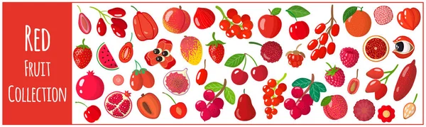 Conjunto Ilustraciones Dibujos Animados Vectoriales Con Frutas Rojas Exóticas Aisladas — Vector de stock