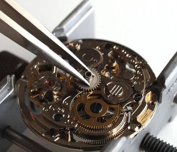 Крупным Планом Часовщика Ремонтирующего Старые Механические Часы Калибра Помощью Пинцета — стоковое фото