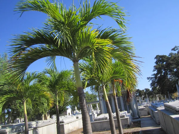 Küba, paseo por una isla del caribe.