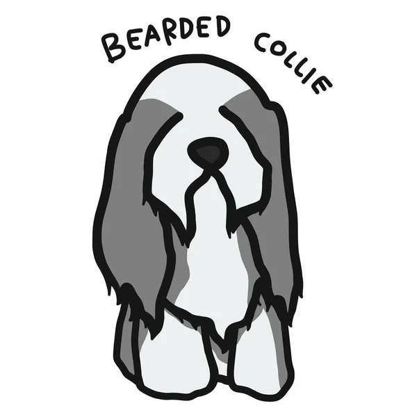 长胡子的科利犬卡通画 — 图库矢量图片