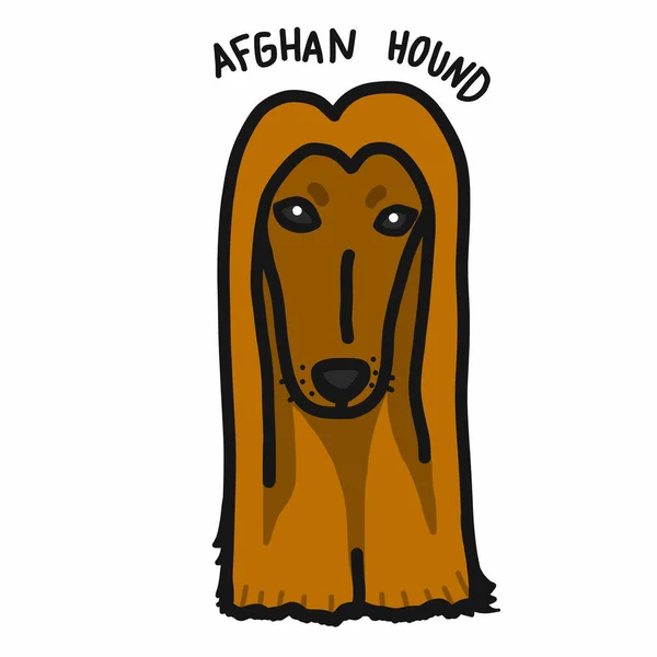 Afghanischer Hund Zeichentrickkritzelstil — Stockvektor