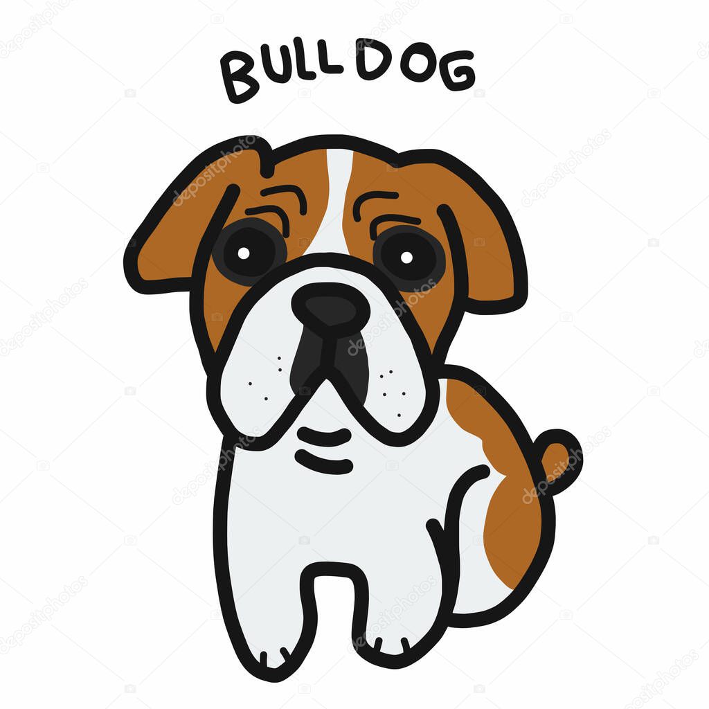 Bull Dog cartoon doodle style