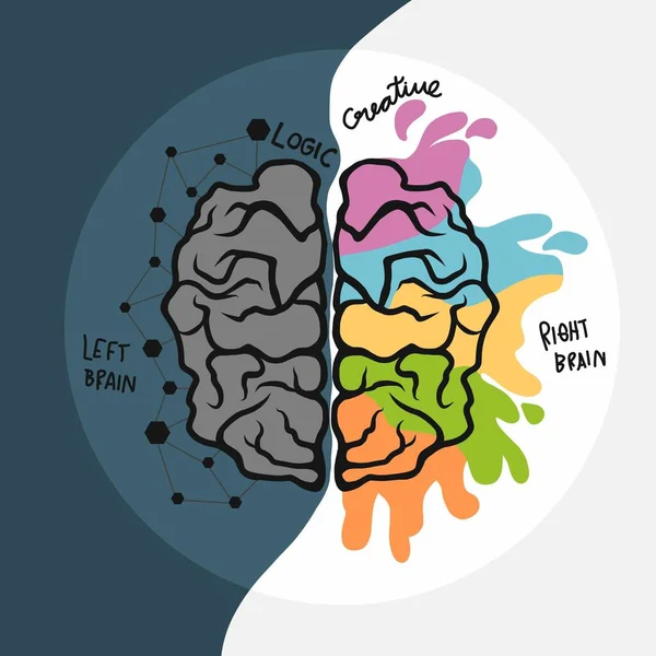 Ilustración Del Vector Dibujos Animados Del Cerebro Izquierdo Derecho — Archivo Imágenes Vectoriales