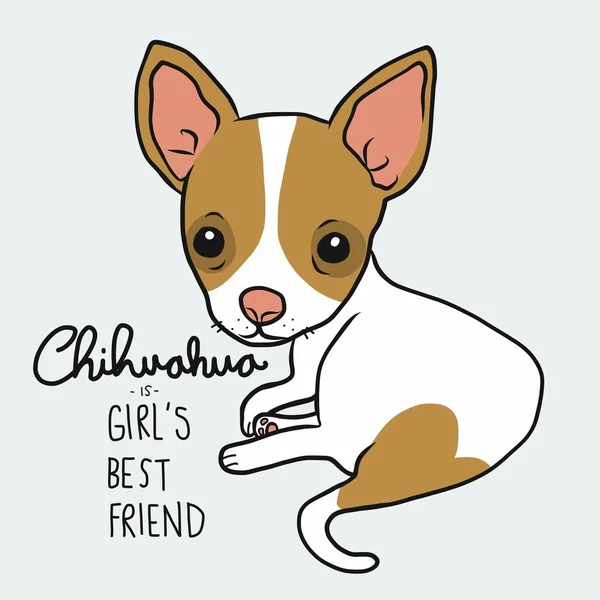 Chihuahua Ist Der Beste Freund Des Mädchens Chihuahua Hund Zeichentrickvektorillustration — Stockvektor