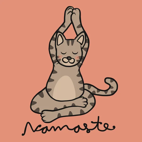 Namaste Tabby Katt Spela Yoga Tecknad Vektor Illustration — Stock vektor