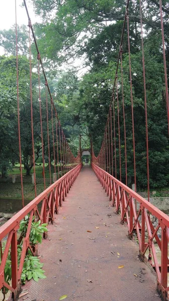 Red bridge in the forest