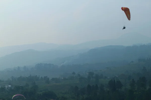 Puncak Çay Çiftliği, Bogor, Batı Java