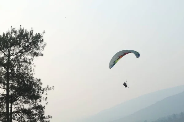 Puncak Plantation Thé Bogor Ouest Java — Photo