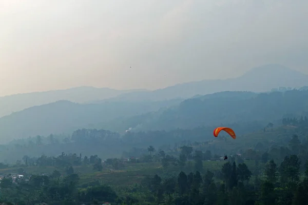 Puncak Çay Çiftliği, Bogor, Batı Java
