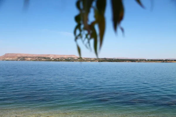 Tiro Largo Una Orilla Hermosa Del Lago Alineada Con Tress —  Fotos de Stock