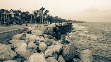 Dalgaları denizdeki kayalara çarpar.