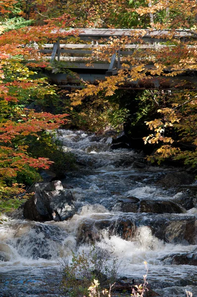 Sonbahar manzarası rengarenk doğa sahnelerini gösteriyor, çok renkli ağaçlar, nehir, şelale, renkli yapraklı köprü..