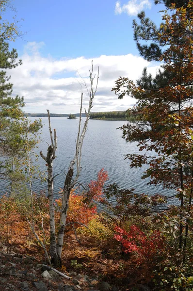 Paisaje Otoño Que Muestra Colorida Escena Naturaleza Con Lago Follaje —  Fotos de Stock