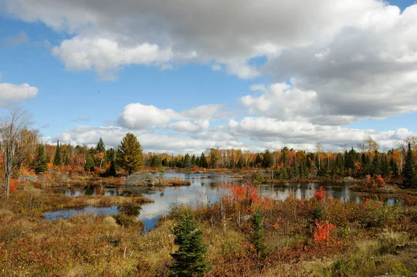 Paesaggio Paesaggio Autunnale Mostrando Scena Natura Colorata — Foto Stock