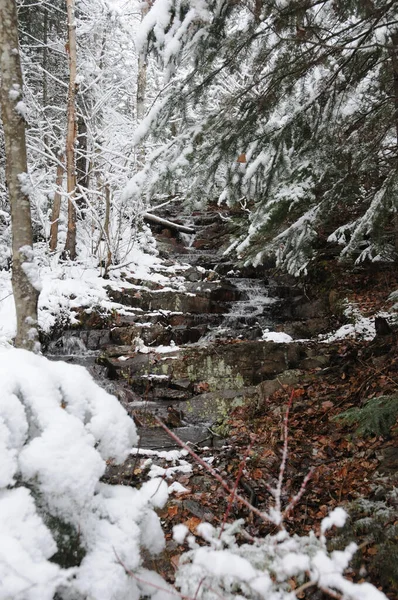 Зимний Ручей Окруженный Покрытыми Снегом Деревьями Скалами Показывает Свое Белое — стоковое фото