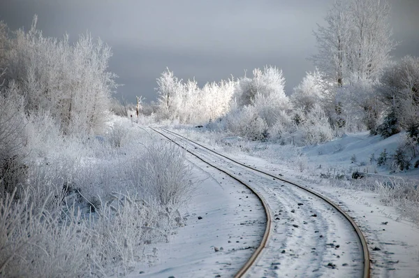 Frostige Winterlandschaft Mit Bahngleisen Und Frostbäumen Die Wintersaison Geht Ins — Stockfoto