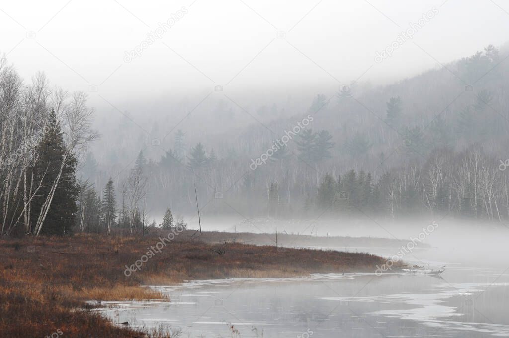 Foggy scenery landscape of trees, water, river, sky, foliage displaying its soft mist on nature in the autumn season.
