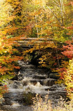 Sonbahar manzarası rengarenk sonbahar sahnesini gösteriyor. Renkli ağaçlar, şelale, yapraklar, kayalar huzurlu bir duygu içinde..