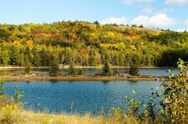 Sonbahar manzarası rengarenk sonbahar sahnesini gösteriyor. Renkli ağaçlar, şelale, yapraklar, kayalar huzurlu bir duygu içinde..