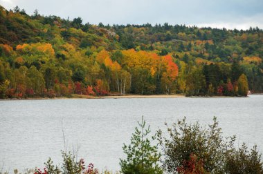 Sonbahar manzarası rengarenk sonbahar sahnesini gösteriyor. Renkli ağaçlar, şelale, yapraklar, kayalar huzurlu bir duygu içinde..