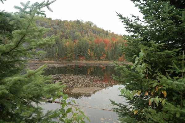 나뭇잎 바위들 기분으로 자연의 풍경을 — 스톡 사진