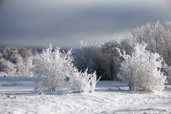 Winterlandschaft Mit Frostbäumen Die Sich Sonnenlicht Aalen Mit Blauem Himmel — Stockfoto