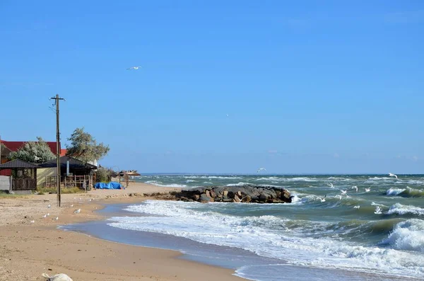 Ukrayna. Berdyansk. Azov Denizi 'nde fırtına.