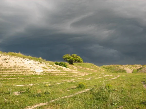 - Rusya. Fırtınadan önce bozkırda.