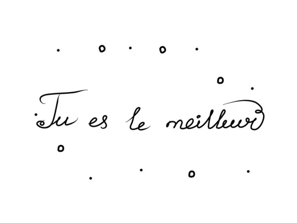 Meilleur Frase Scritta Mano Con Pennello Calligrafia Lei Migliore Francese — Vettoriale Stock