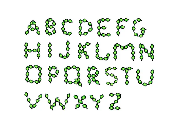 Alfabe Latince Vektörü Yeşil Ekoloji Teması Yapraklar Mektuplar Çizimleri Yazı — Stok Vektör