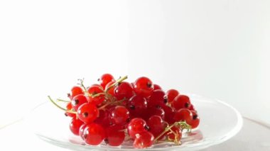 360 derece, dönen bir masada kırmızı kuş üzümü görüntüsü. 360 derece dön. Sağlıklı yemek. Lezzetli ve vitaminli. Diyet ve vejetaryen. 