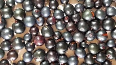 Frenk üzümü, meyve tatlısı, 360 derece dönüş. 360 derece, video. Lezzetli bir akşam yemeği. Sağlıklı yemek. Lezzetli ve vitaminli. Diyet ve vejetaryen. 