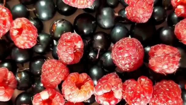 Frambuesa Grosella Negra Postre Frutas 360 Vueltas 360 Grados Video — Vídeo de stock