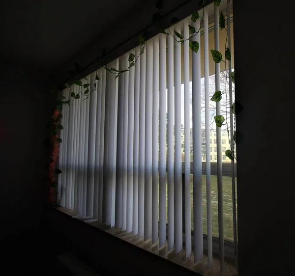 Pencere Perdelerinden Geçen Güneş Işığı — Stok fotoğraf