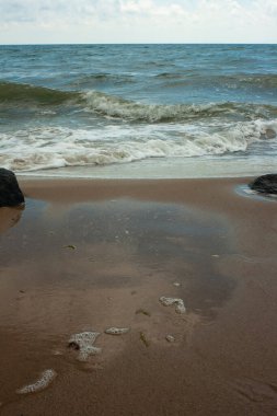 Deniz dalgaları. Boş bir sahilde ıslak kumun dikey fotoğrafı. Köpüklü deniz suyu.