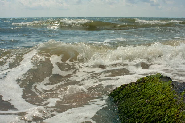 Grünes Moos Auf Einem Stein Ufer Strand Ohne Menschen Wasser — Stockfoto