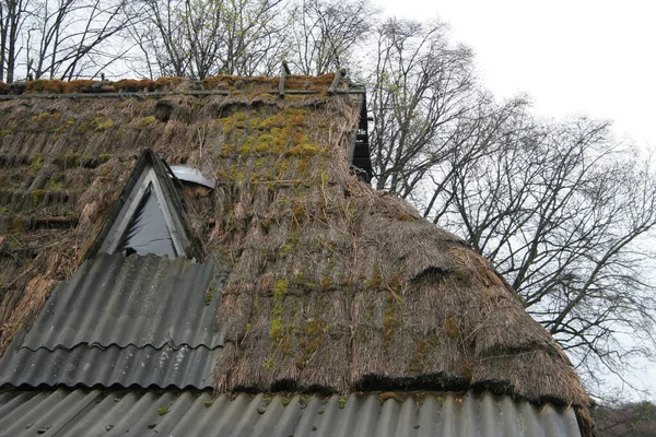 Σκεπασμένη Στέγη Ένα Παλιό Αγροτικό Σπίτι — Φωτογραφία Αρχείου