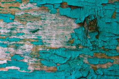 Zümrüt renginde yağlı boya. Grunge tarzında bir arka plan. Tahtanın pürüzlü dokusu..