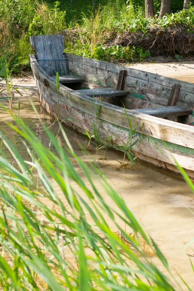 Altes Boot Auf Dem See Einem Sonnigen Tag Und Schilf — Stockfoto