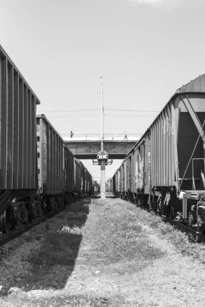 鉄道車両の白黒写真が視野に入ってきます — ストック写真